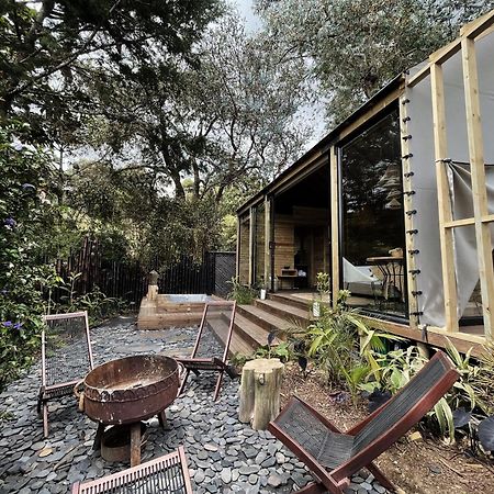 Teva Glamping & Retreat Otel Rionegro Dış mekan fotoğraf
