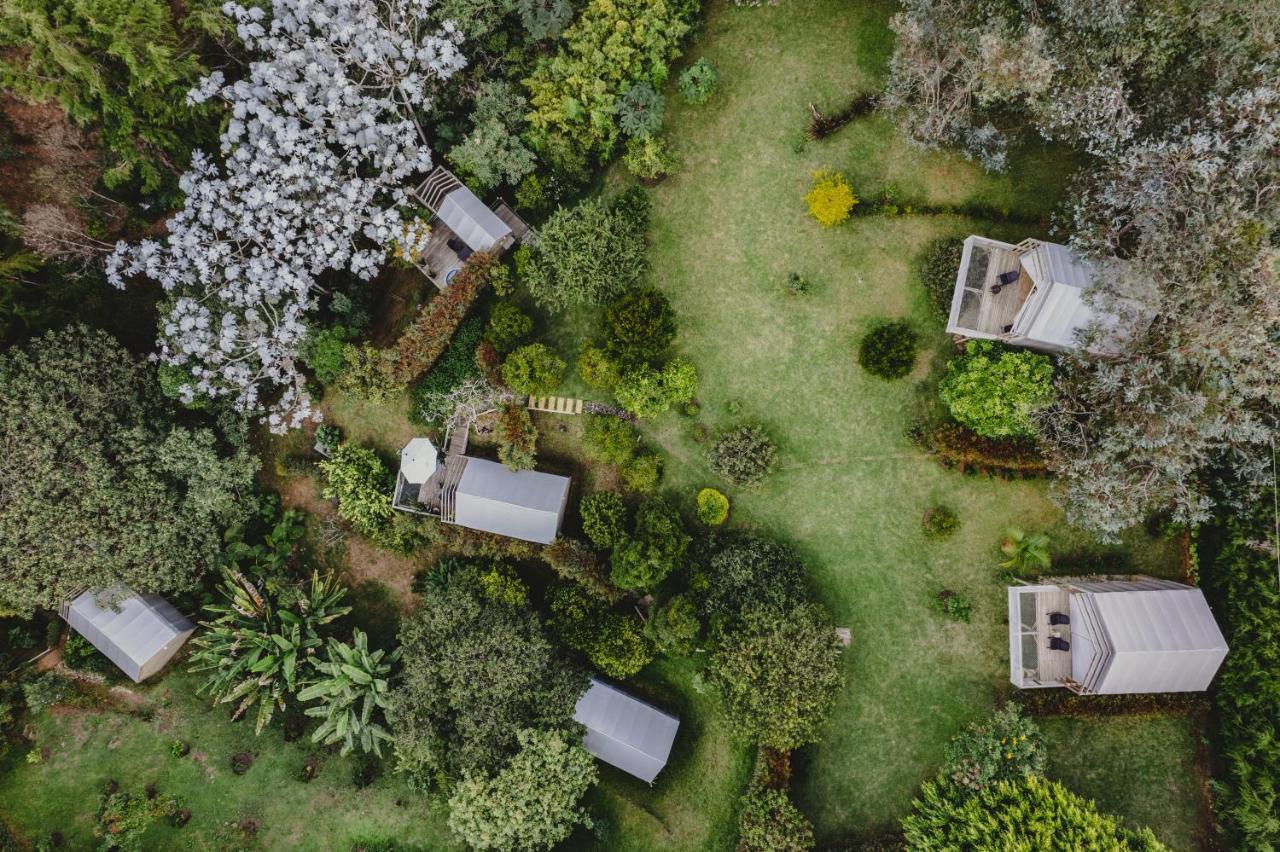 Teva Glamping & Retreat Otel Rionegro Dış mekan fotoğraf