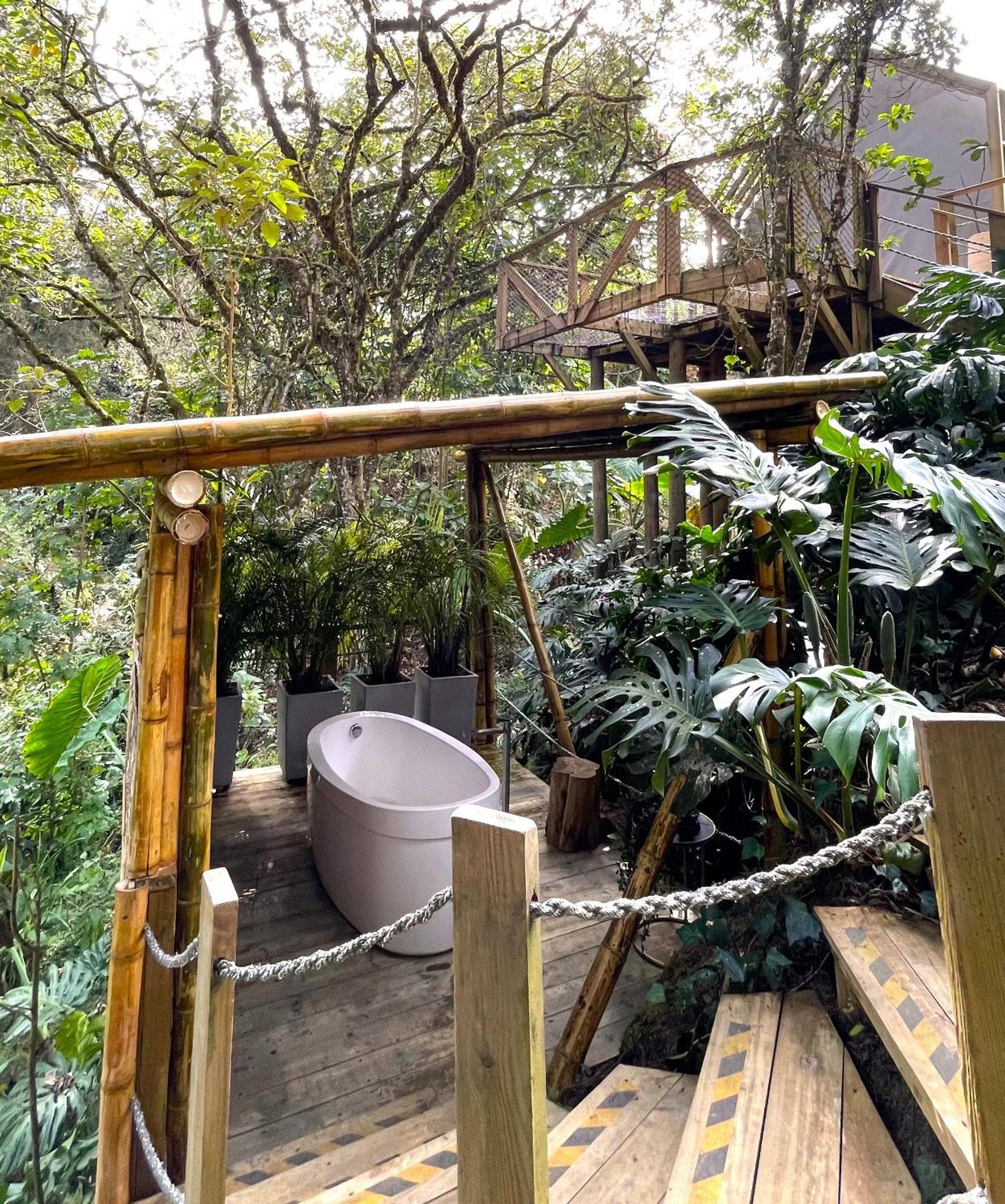 Teva Glamping & Retreat Otel Rionegro Oda fotoğraf