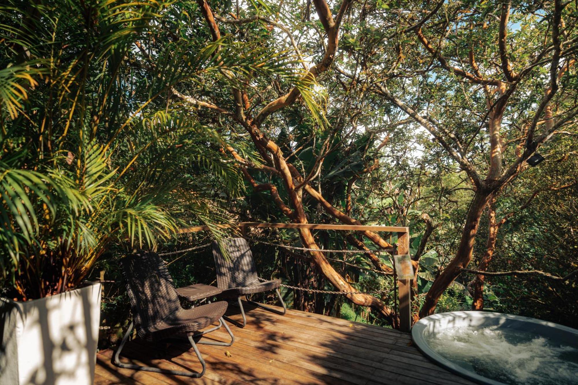 Teva Glamping & Retreat Otel Rionegro Dış mekan fotoğraf