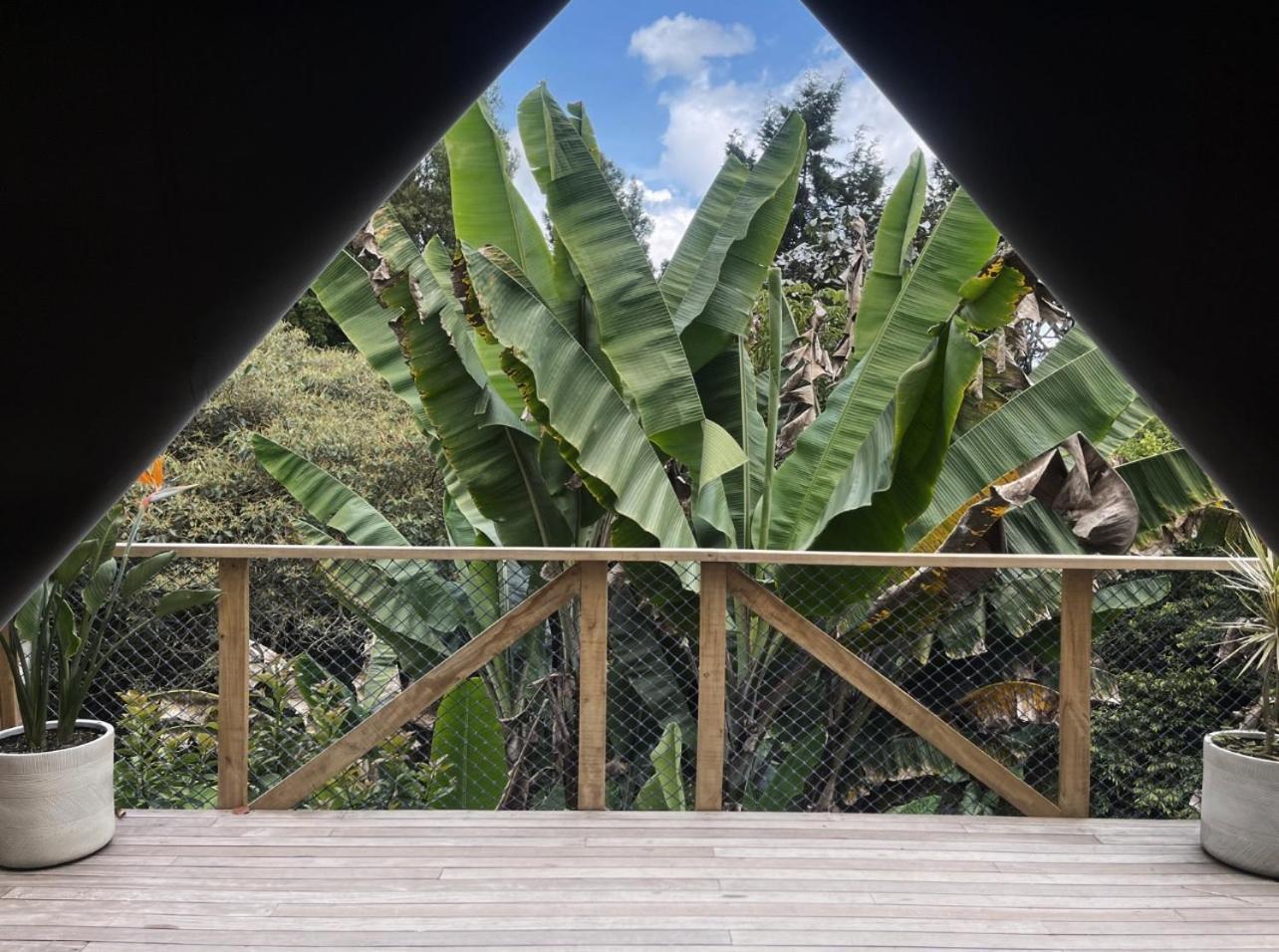 Teva Glamping & Retreat Otel Rionegro Oda fotoğraf