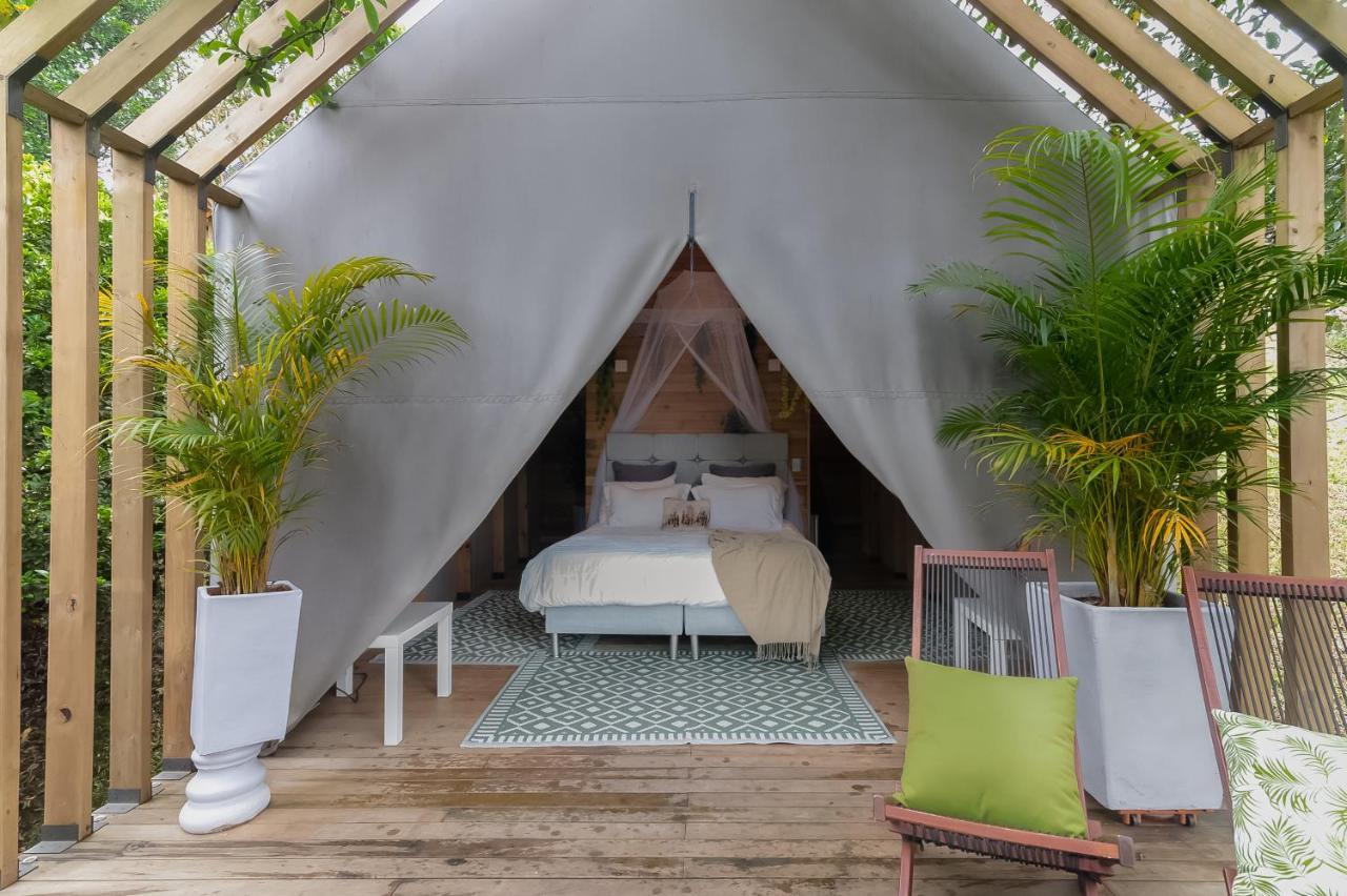 Teva Glamping & Retreat Otel Rionegro Oda fotoğraf